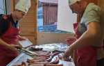 IMG-20250914-WA0039